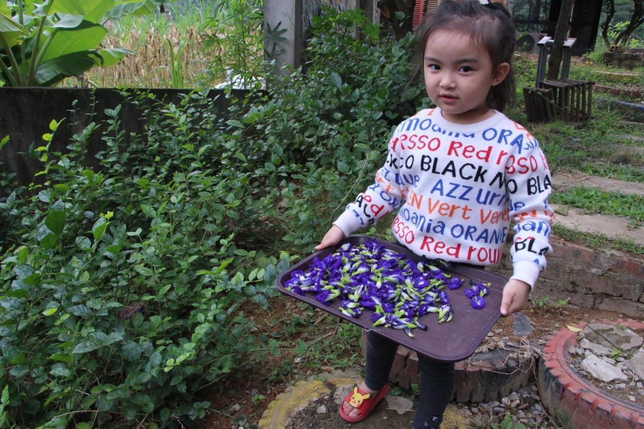 Maison Teahouse Homestay Ha Giang Bagian luar foto