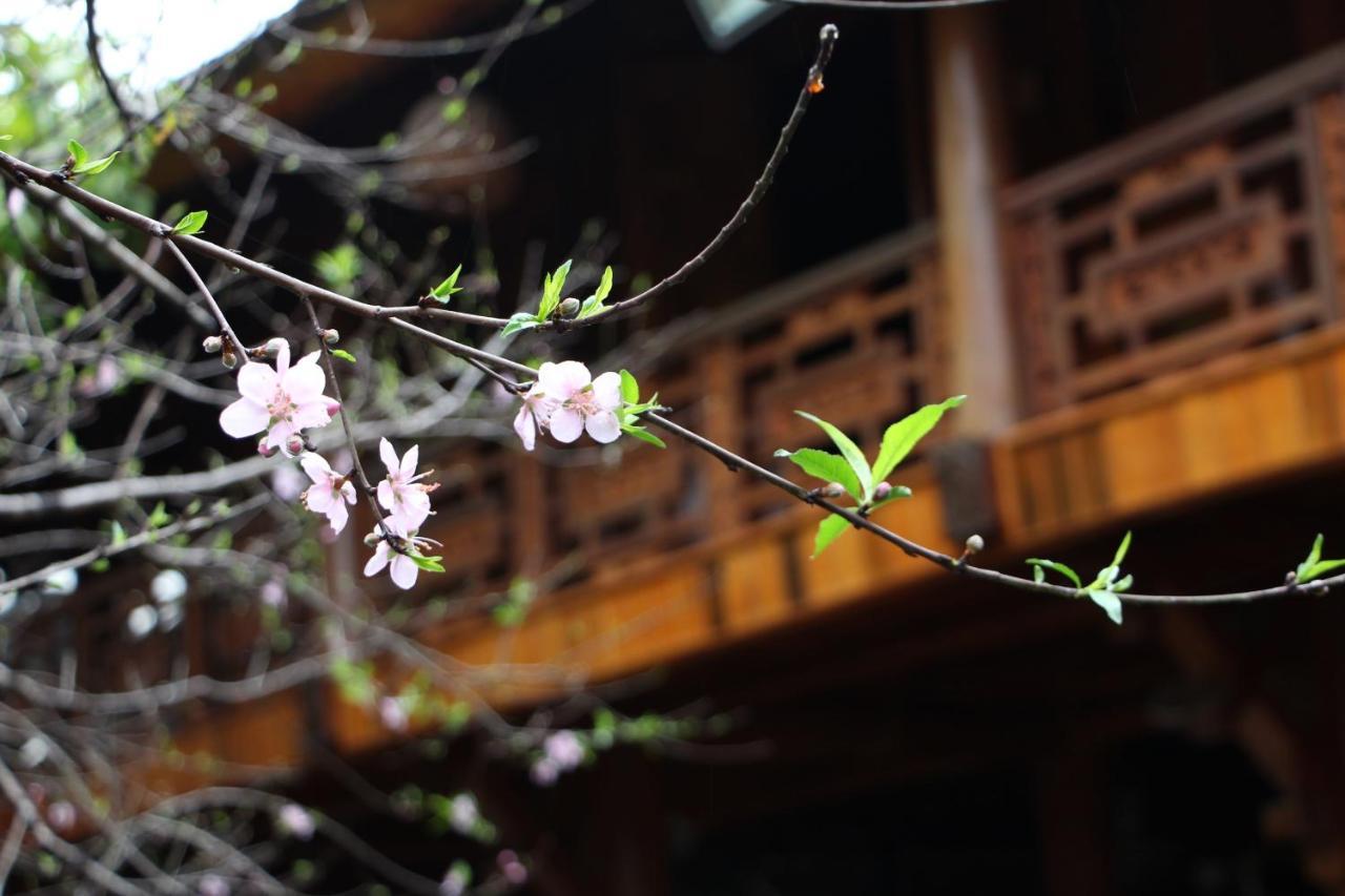Maison Teahouse Homestay Ha Giang Bagian luar foto