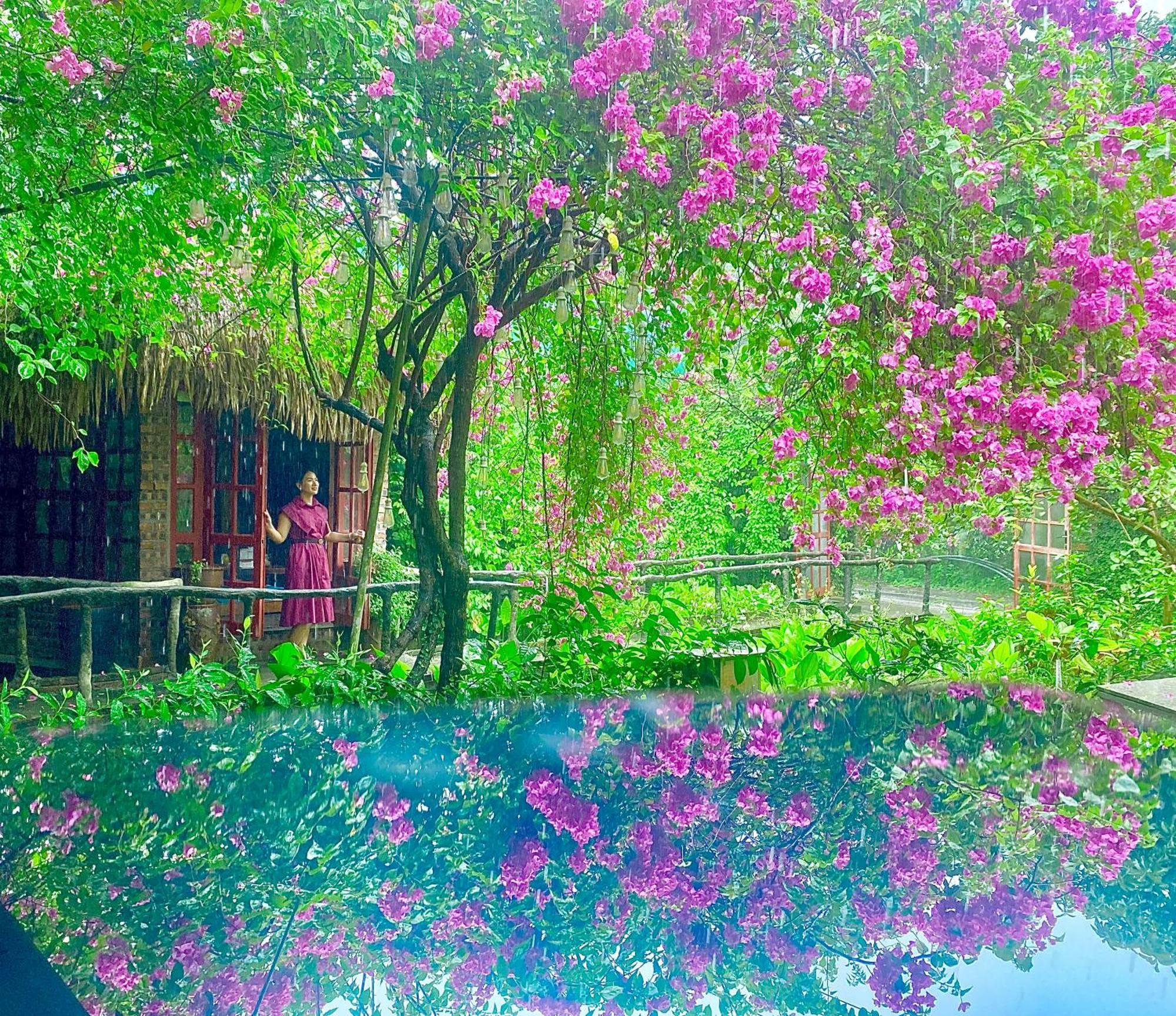 Maison Teahouse Homestay Ha Giang Bagian luar foto